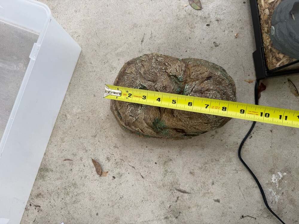 Zoo Med Reptile Hide Rock - Medium